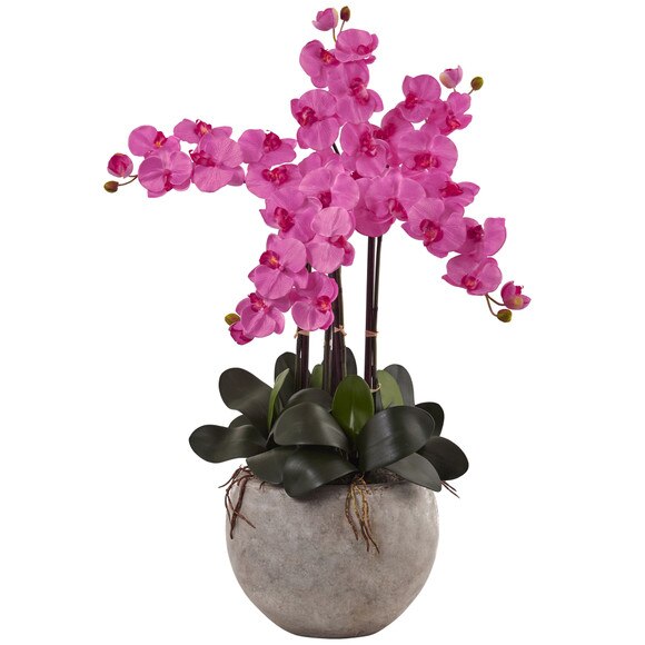 Phalaenopsis Orchid Arrangement with Sand Colored Bowl - SKU #1402 - 3